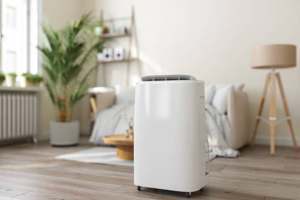 Best Ductless HVAC Repair  in Lincoln, ID